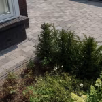 Grijze Tambour Smook bestrating bij woning met struiken en planten