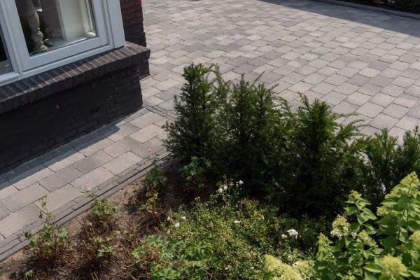 Grijze Tambour Smook bestrating bij woning met struiken en planten