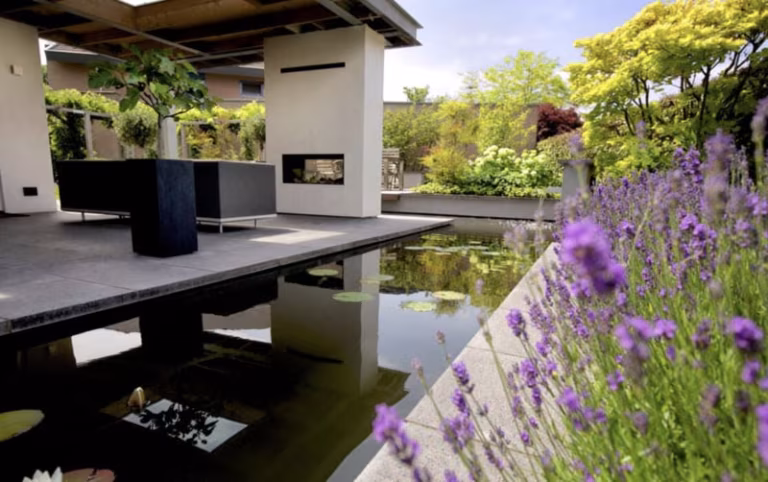 Terras met antraciet Schellevis tegels, haard, vijver en paarse lavendel