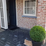 Voordeurpad van zwarte BSS betonklinkers 8 cm bij baksteenwoning met buxusbol en kat