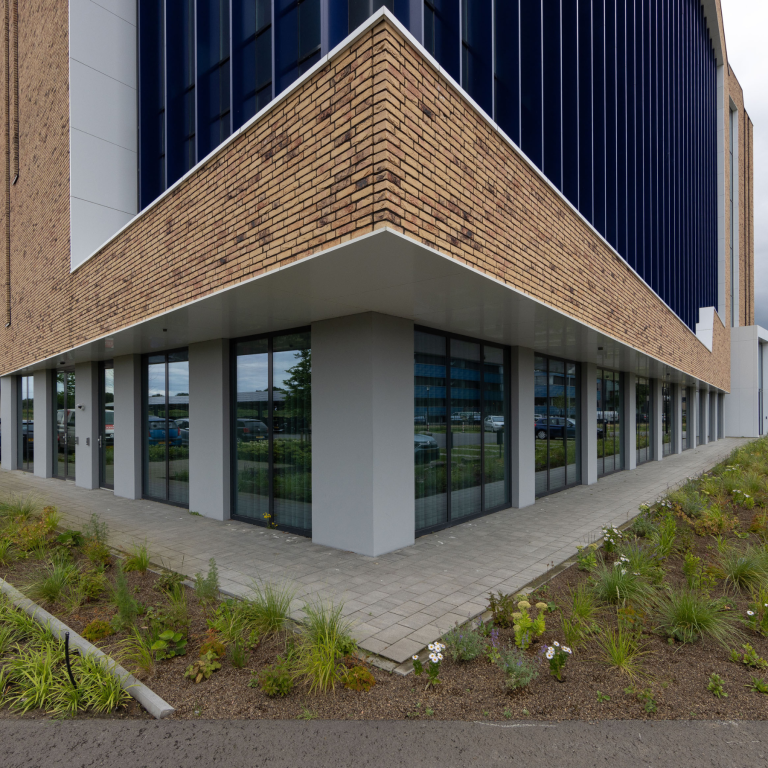 Geoklinker Plus Roma