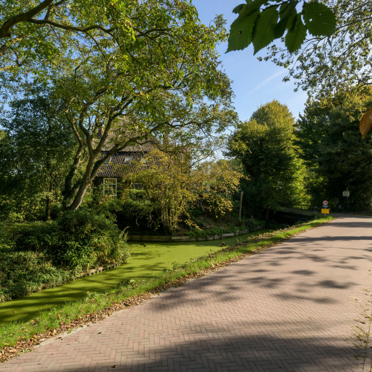 Georetron Rood-Bruin