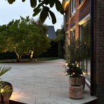 Geostretto Alivo Lazise