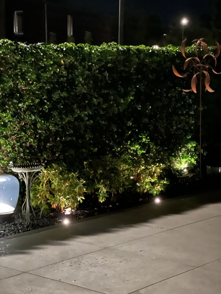 In lite Voque zwart bol