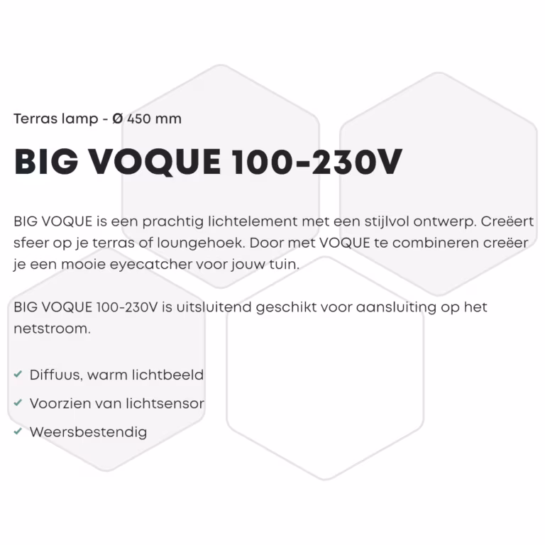 In Lite Big Voque 100-230V