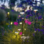 Verlichte tuinlampjes met schijfvormige kop op dunne stelen tussen wilde bloemen in schemering