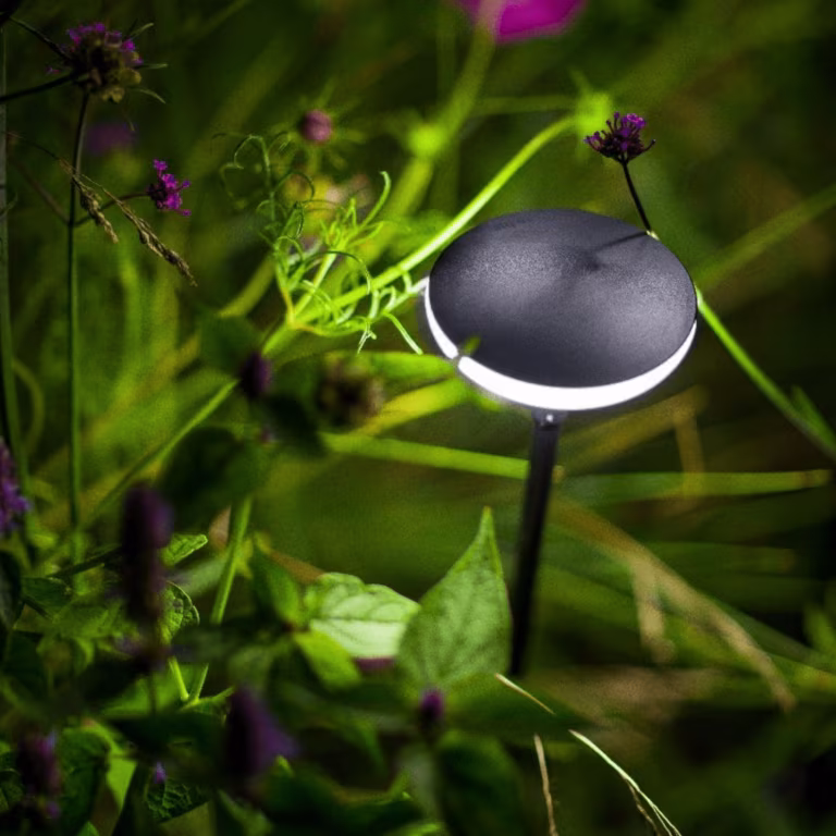 Close-up van zwarte tuinlamp met platte kop tussen groene bladeren en paarse bloemen