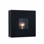JELLE BUITENLAMP – MATZWART GECOAT – BY PIET BOON