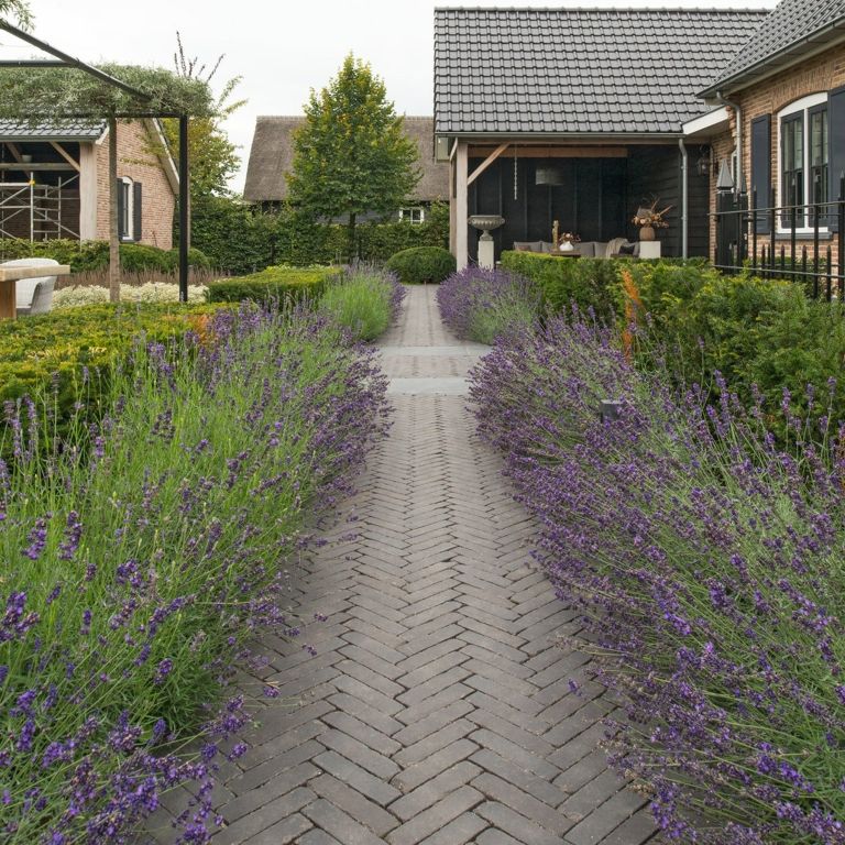 Carbona Antica getrommeld DF60