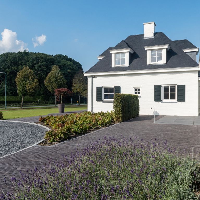 Carbona Antica getrommeld WF60