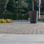 Carbona Antica getrommeld WF60