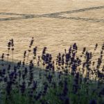 Gromo Antica getrommeld DF60