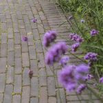 Iseo Antica getrommeld DF60