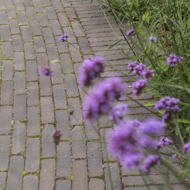 Iseo Antica getrommeld DF60