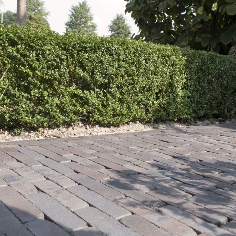 Lugano Antica getrommeld WF60