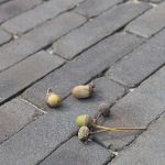 Iseo Antica getrommeld DF60