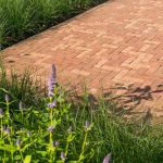 Roma Antica getrommeld DF60