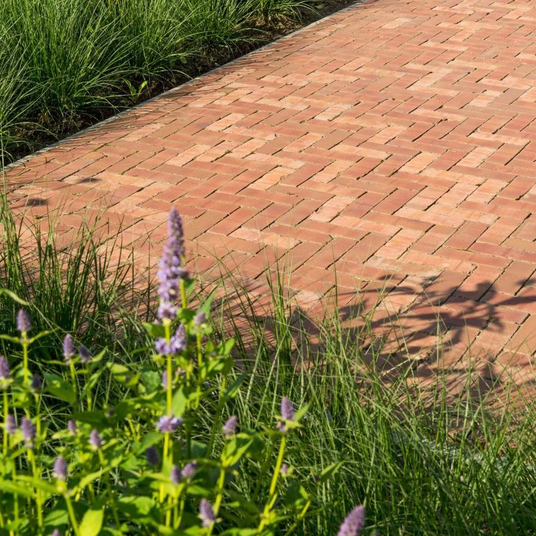 Roma Antica getrommeld DF60