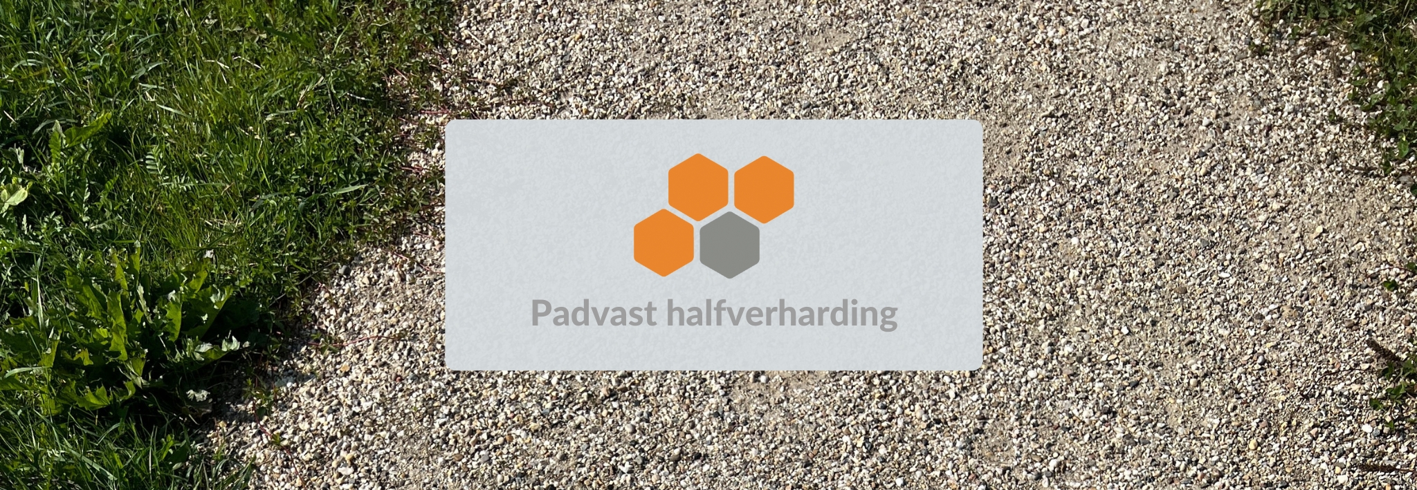 Padvast