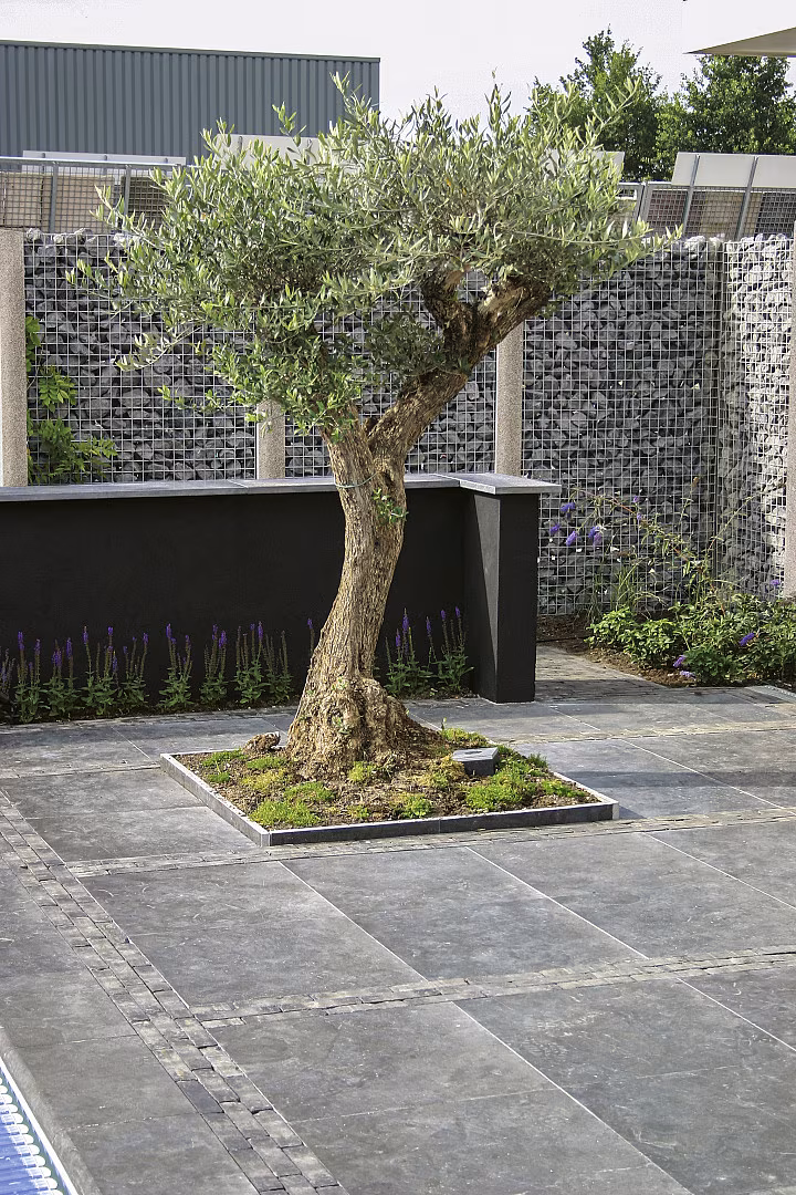 Natuursteen Blue Moon Honed Anticato 60x60x2,5 cm