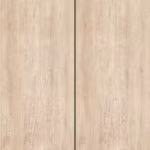 Palo Birch
