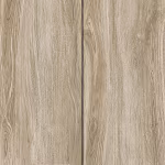 Palo Elm