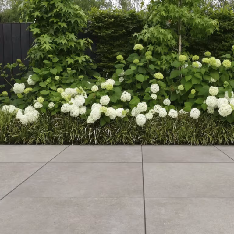 Tuinvisie Cerasolid Cortona Silver