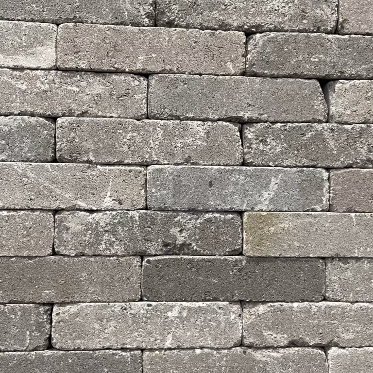 Abbeystones Getrommeld Certosa 5x15x7 rijnformaat