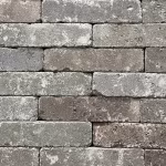 Abbeystones Getrommeld Montecassino 21x7x8 dikformaat