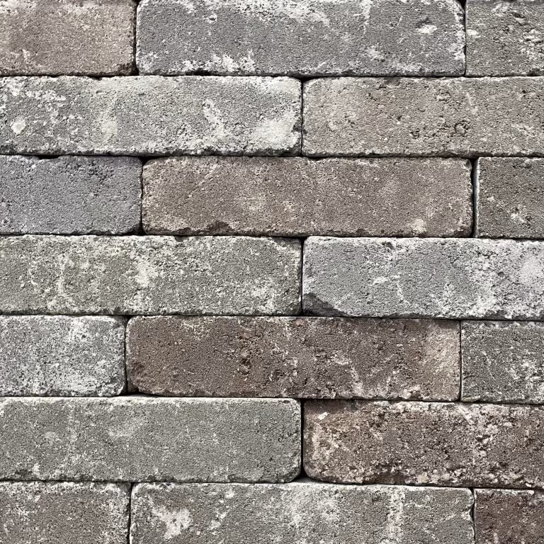 Abbeystones Getrommeld Montecassino 21x7x8 dikformaat