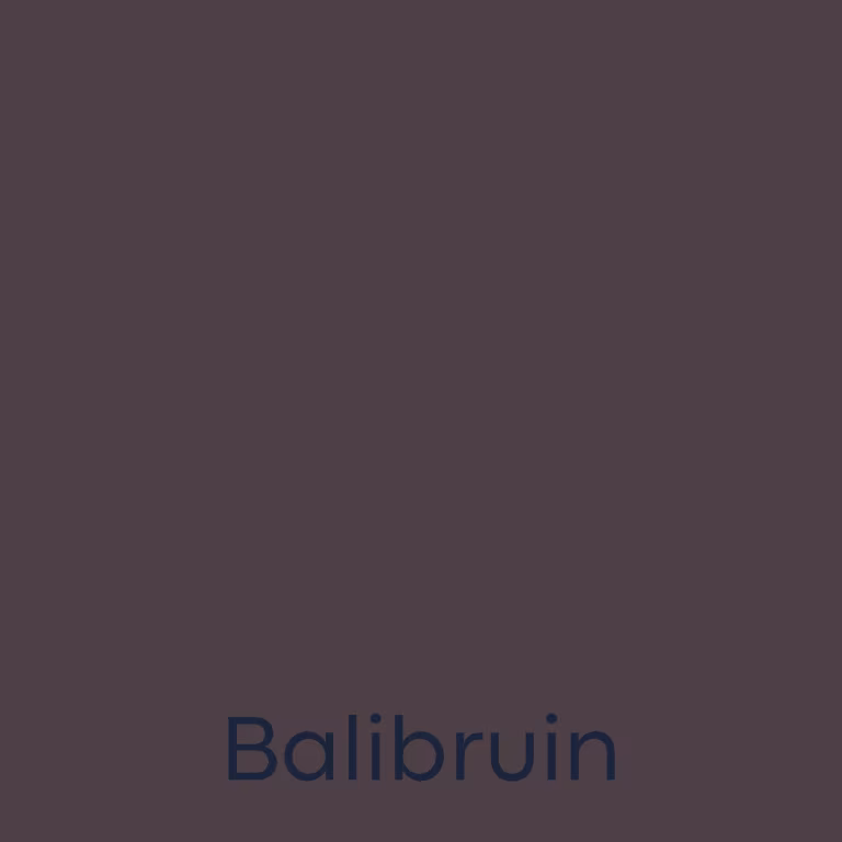 Schönox Voeg SF Design 5 KG - Balibruin