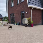Stonique trommel waalformaat 7 cm Oud Kampen kijlstra