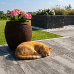 PRST60604GZ PromoStone 60x60x4 Grijs_Zwart