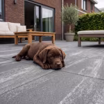 Bruine labrador pup op terras van PromoStone 60x60x4 Grijs/Zwart tegels