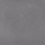 Eliton 60x60x4 cm Mount Vancouver Redsun