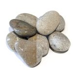 Asia Pebbles Grijs 50-70 mm minibag Redsun-1