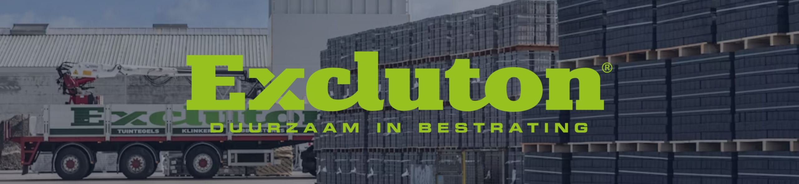 Excluton Official Partner