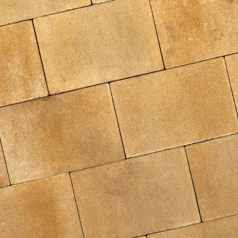 Recto Klein Wildverband 6 cm Mont Blanc
