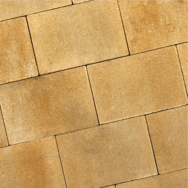 Recto Mont Blanc 20x30