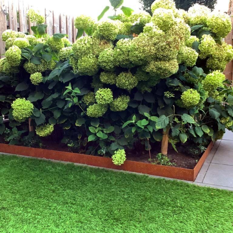 Borderrand Geplet 13x150 cm Corten-2