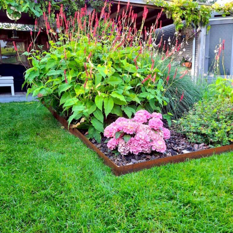 Borderrand Recht 15x240 cm Corten-2