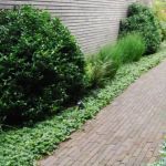 Rustiek Gebakken Waalformaat UWF60 Pastorale-4