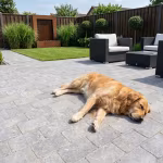 Slapende golden retriever op WG Stone Trommelsteen terras met loungeset en tuin