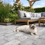 Grijze WG Stone Trommelsteen 20x30x6 terras met loungeset en liggende kat