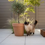 BMEX2000973 KeraTwo 60x60x2 Schönjoch Private label Excluton