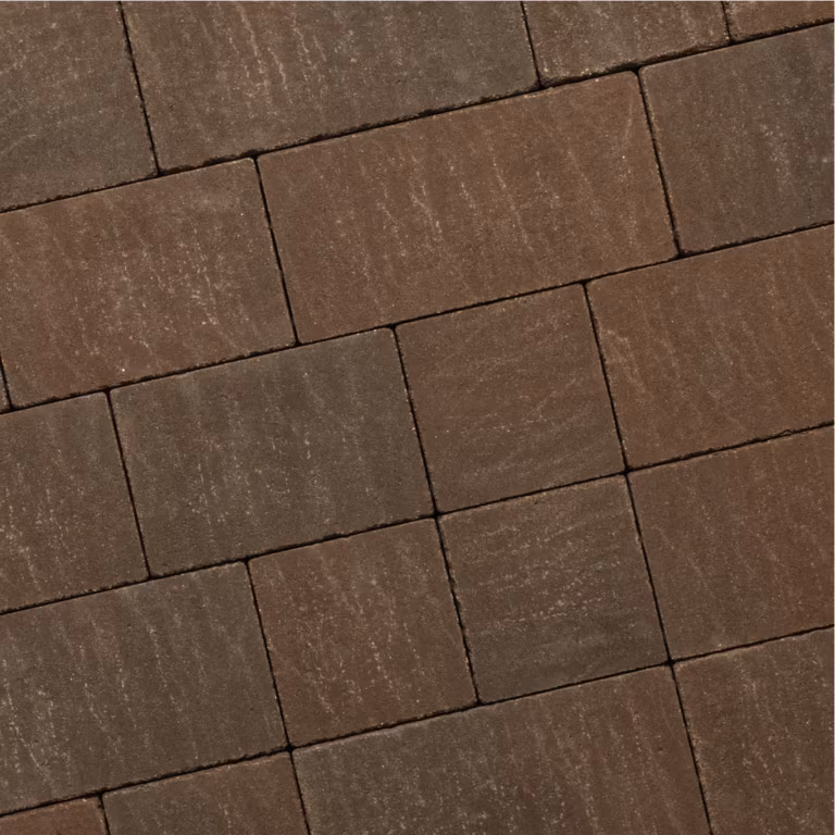 Recto Antique Klein Wildverband 6 cm London