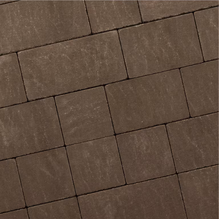 Recto Antique Klein Wildverband 6 cm Paris