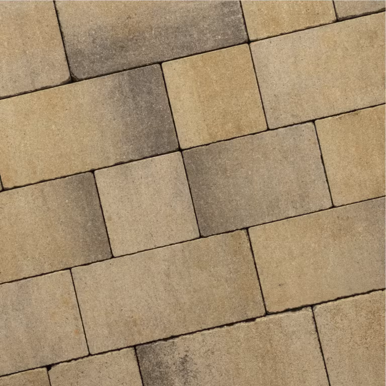 Recto Antique Klein Wildverband 6 cm Sierra Madre