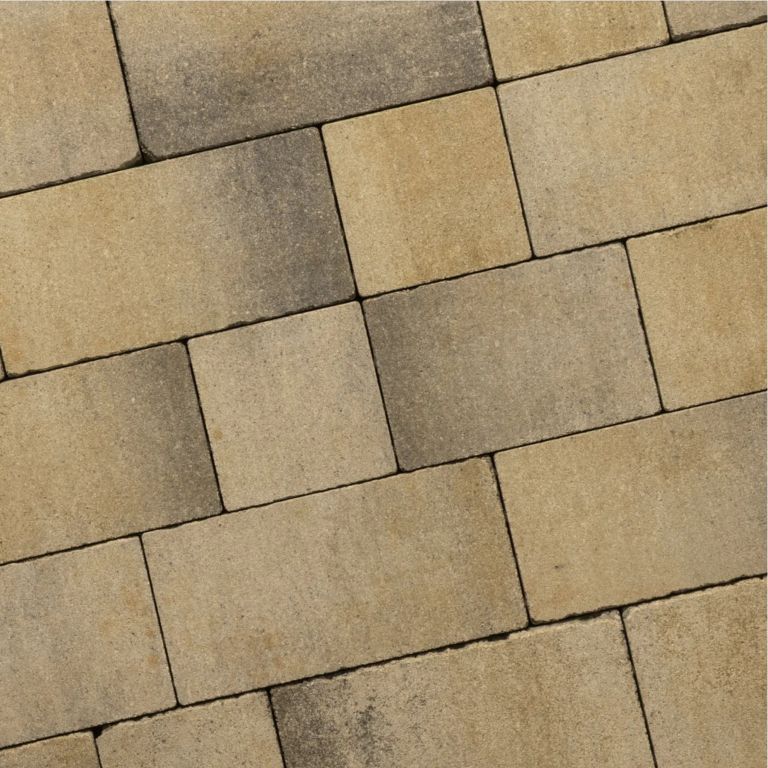 Recto Antique Klein Wildverband 6 cm Sierra Madre