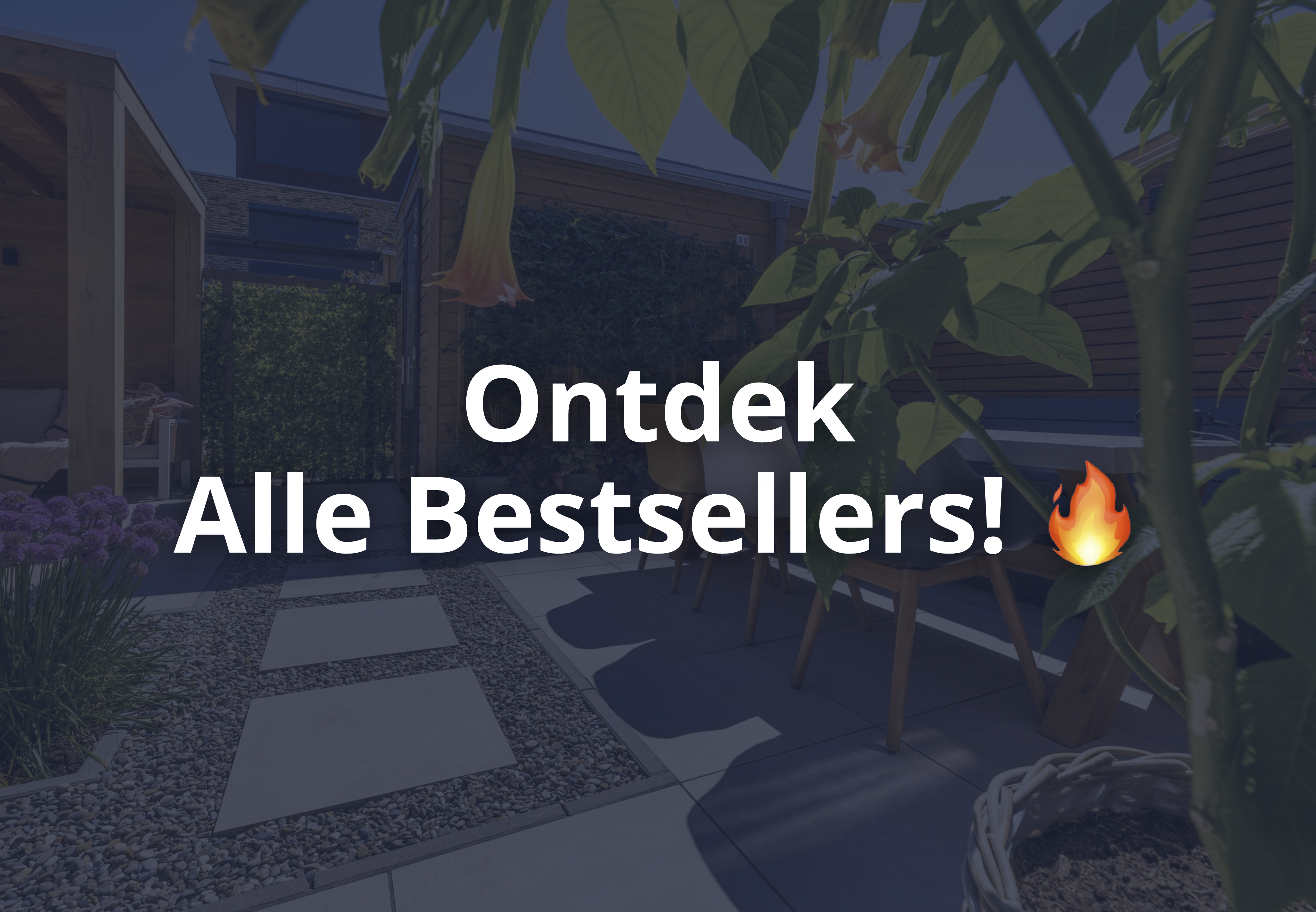 Bestratingsmarkt bestsellers